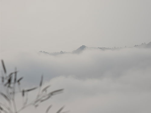 雪景弥漫