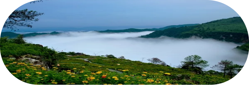 湖南旅游开发公司,怀化旅游开发公司,怀化峡谷探幽,怀化石林花山植物园
