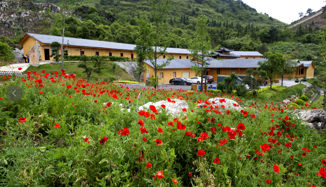 湖南旅游开发公司,怀化旅游开发公司,怀化峡谷探幽,怀化石林花山植物园