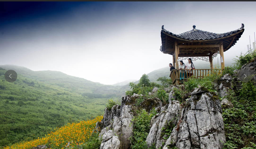 湖南旅游开发公司,怀化旅游开发公司,怀化峡谷探幽,怀化石林花山植物园 湖南旅游开发公司,怀化旅游开发公司,怀化峡谷探幽,怀化石林花山植物园