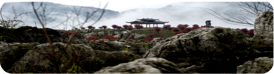 湖南旅游开发公司,怀化旅游开发公司,怀化峡谷探幽,怀化石林花山植物园 湖南旅游开发公司,怀化旅游开发公司,怀化峡谷探幽,怀化石林花山植物园